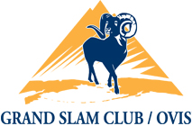 zu sehen ist das Logo der Firma GSCO